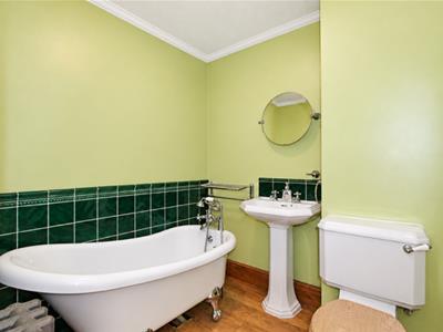 Picture 7